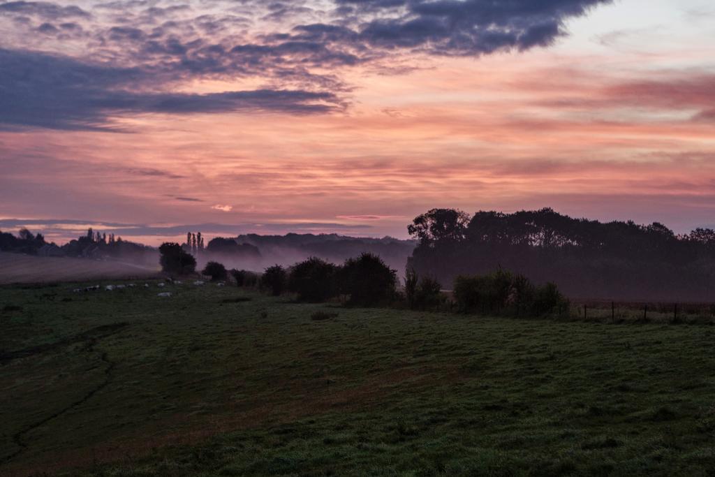 Vakantieboerderij Ferme Le Bleuet Ohey Luaran gambar